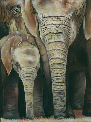 widlife painting of elephants