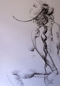 south african artist Anthony Holmes