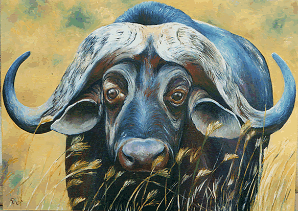 african wildlife painting of cape buffalo