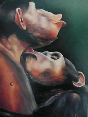 wildlife paintings - wildlfe painting of chimpanzees