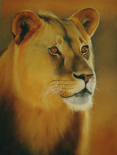 african wildlife painting of lion