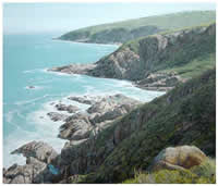 diane mclean oil paintings south african artist