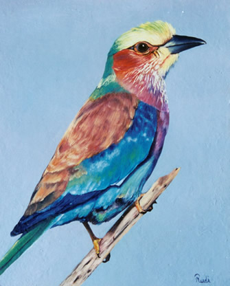 wildlife painting of lilac-breasted roller