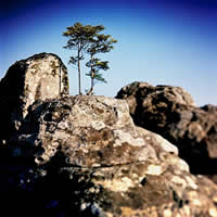 Werner Strauss south african artist photography