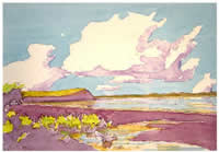 jan van bergen south african artist oil paintings