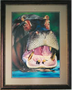Wildlife Painting of Hippo