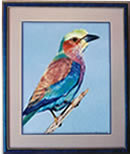 wildlife painting of Lilac-breasted Roller