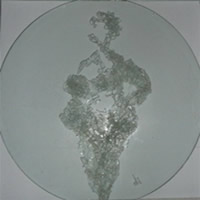 south african artist Di Miller paintings