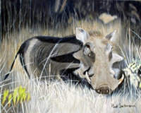 south african artist Paul Sellmann paintings