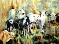 south african artist Karin Van Tonder oil paintings